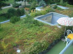 Flachdach nach der Sanierung